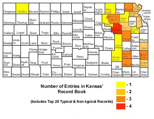 The Wild Turkey Zone: Kansas Turkey Hunting